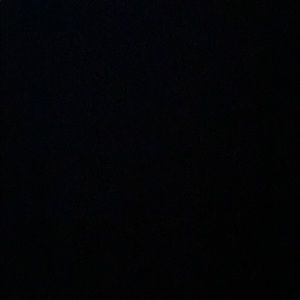 Meet your Posher, Lily